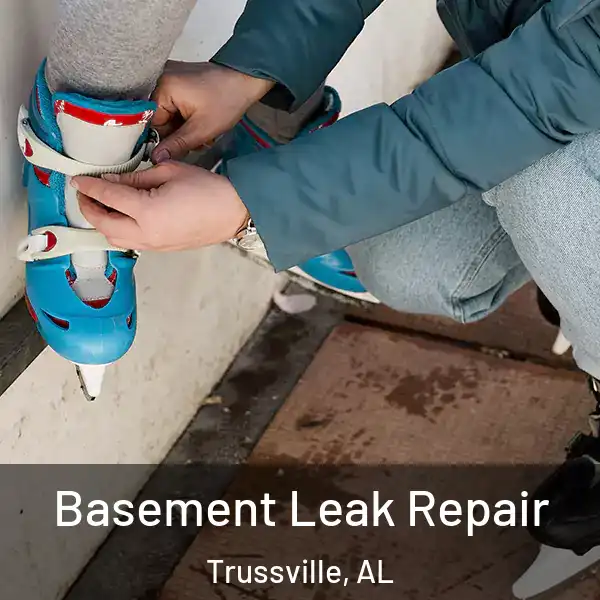 Basement Leak Repair Trussville, AL