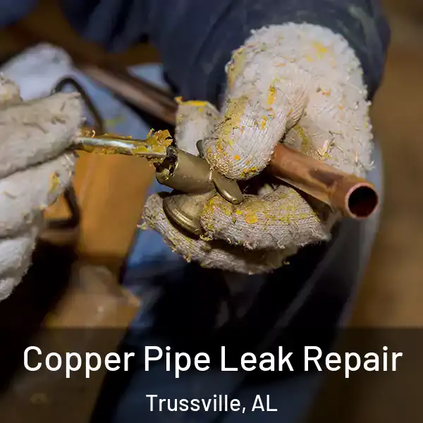  Copper Pipe Leak Repair Trussville, AL