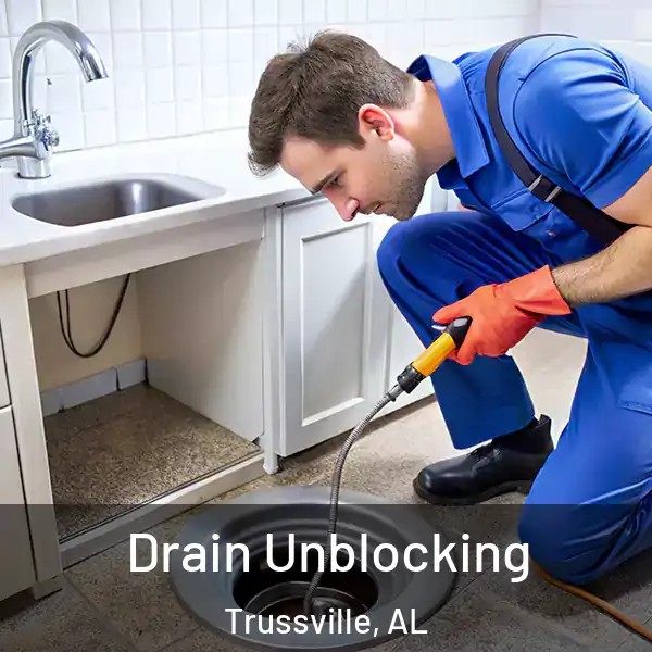  Drain Unblocking Trussville, AL