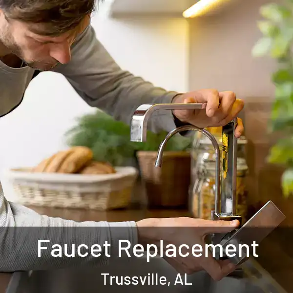  Faucet Replacement Trussville, AL