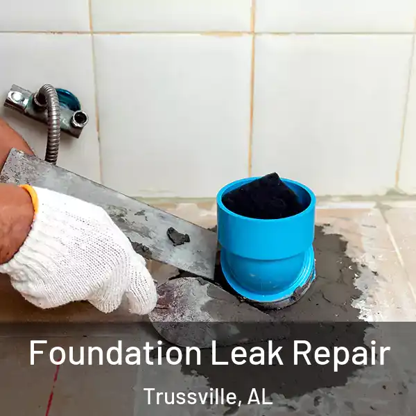  Foundation Leak Repair Trussville, AL