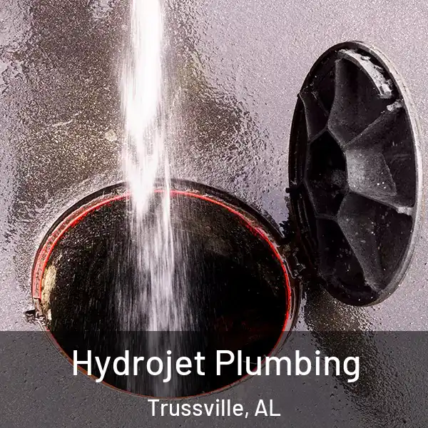  Hydrojet Plumbing Trussville, AL