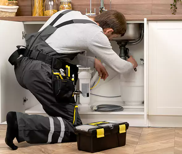 Certified Plumbers for Insinkerator Installation in Trussville