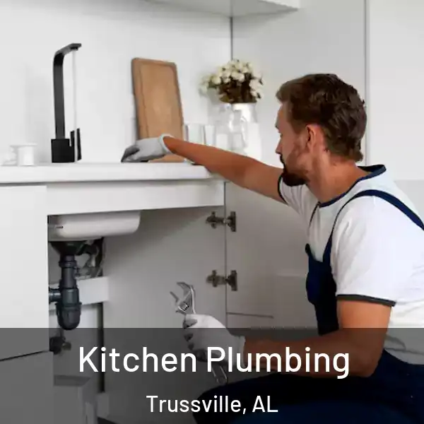  Kitchen Plumbing Trussville, AL