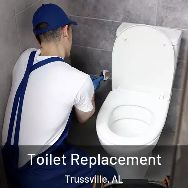  Toilet Replacement Trussville, AL