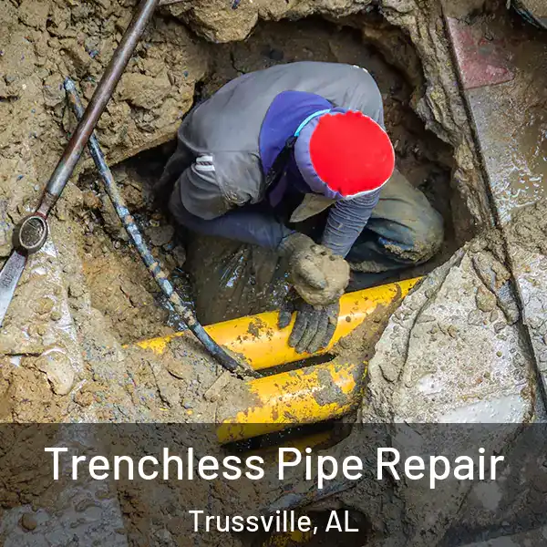  Trenchless Pipe Repair Trussville, AL