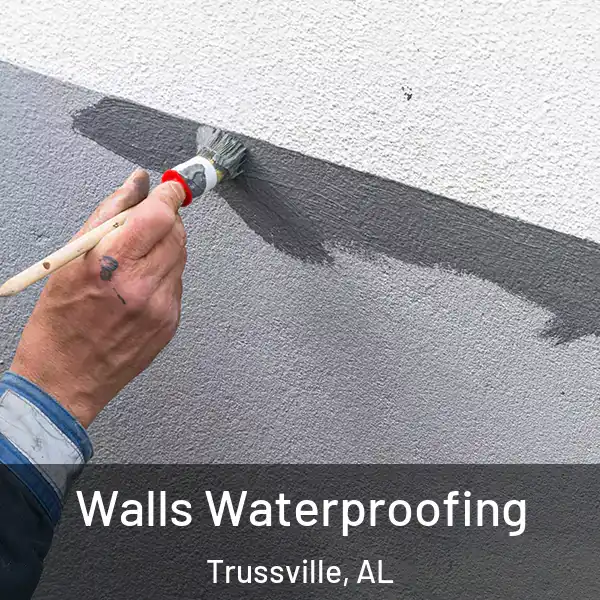  Walls Waterproofing Trussville, AL