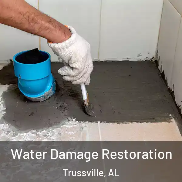  Water Damage Restoration Trussville, AL