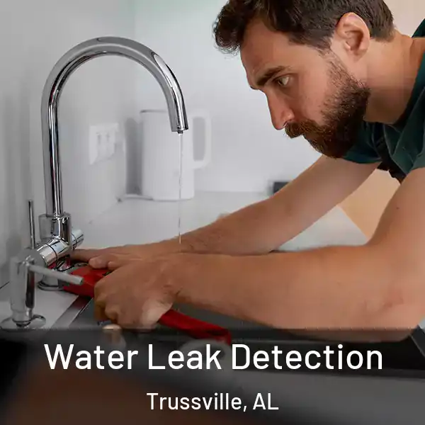  Water Leak Detection Trussville, AL